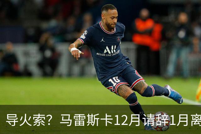导火索？马雷斯卡12月请辞1月离任，蓝军12月仅2胜且最终赛季崩盘